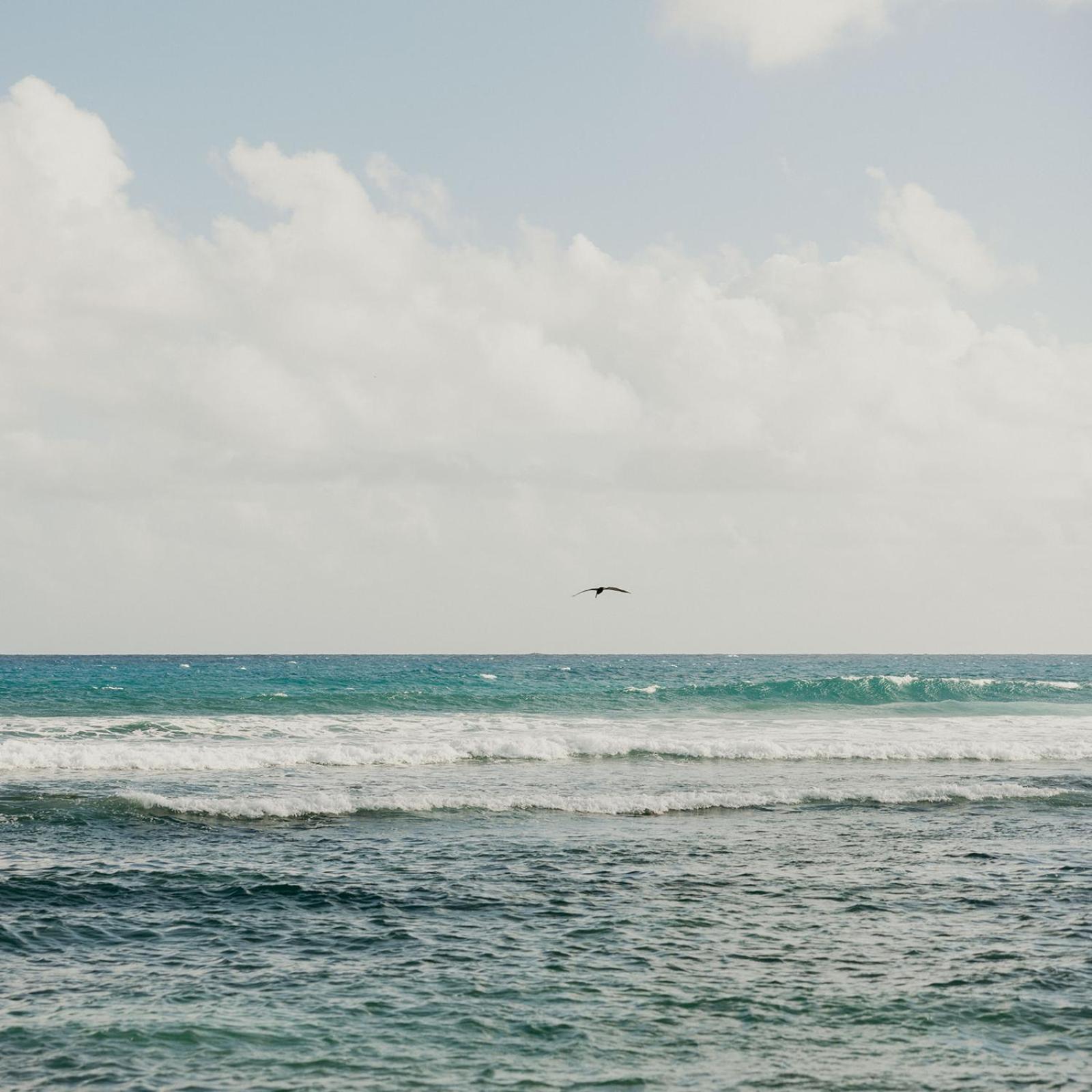 Grapetree Bay Hotel And Villas Christiansted 外观 照片